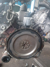 Load image into Gallery viewer, 8233079